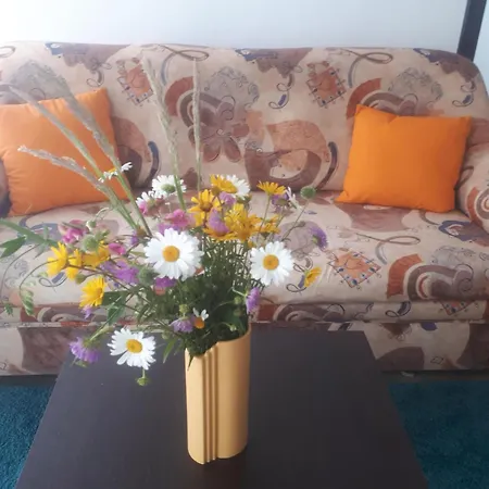 Apartament Mit Herrlicher Aussicht By Interhome *